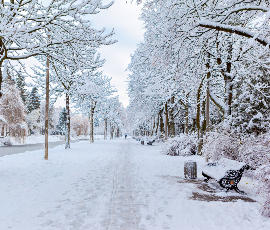 Snowiest Cities In Canada By Province
