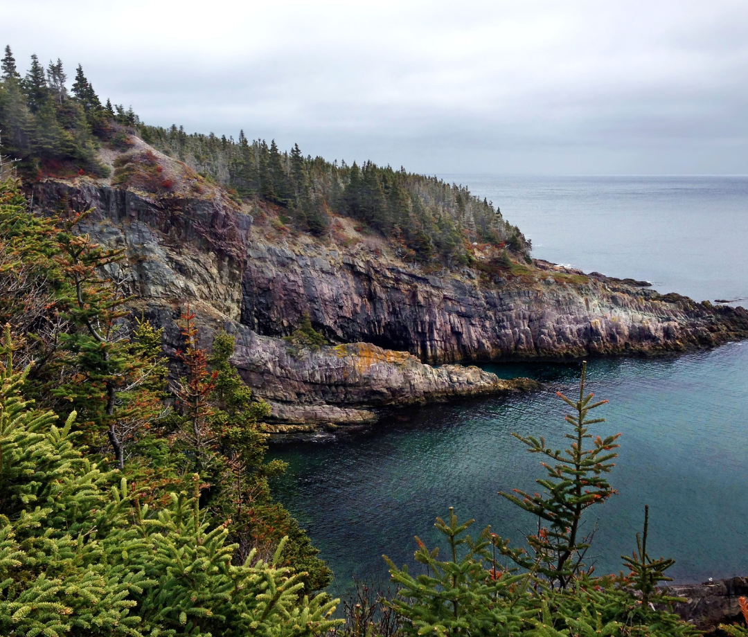 The coast of St. John's
