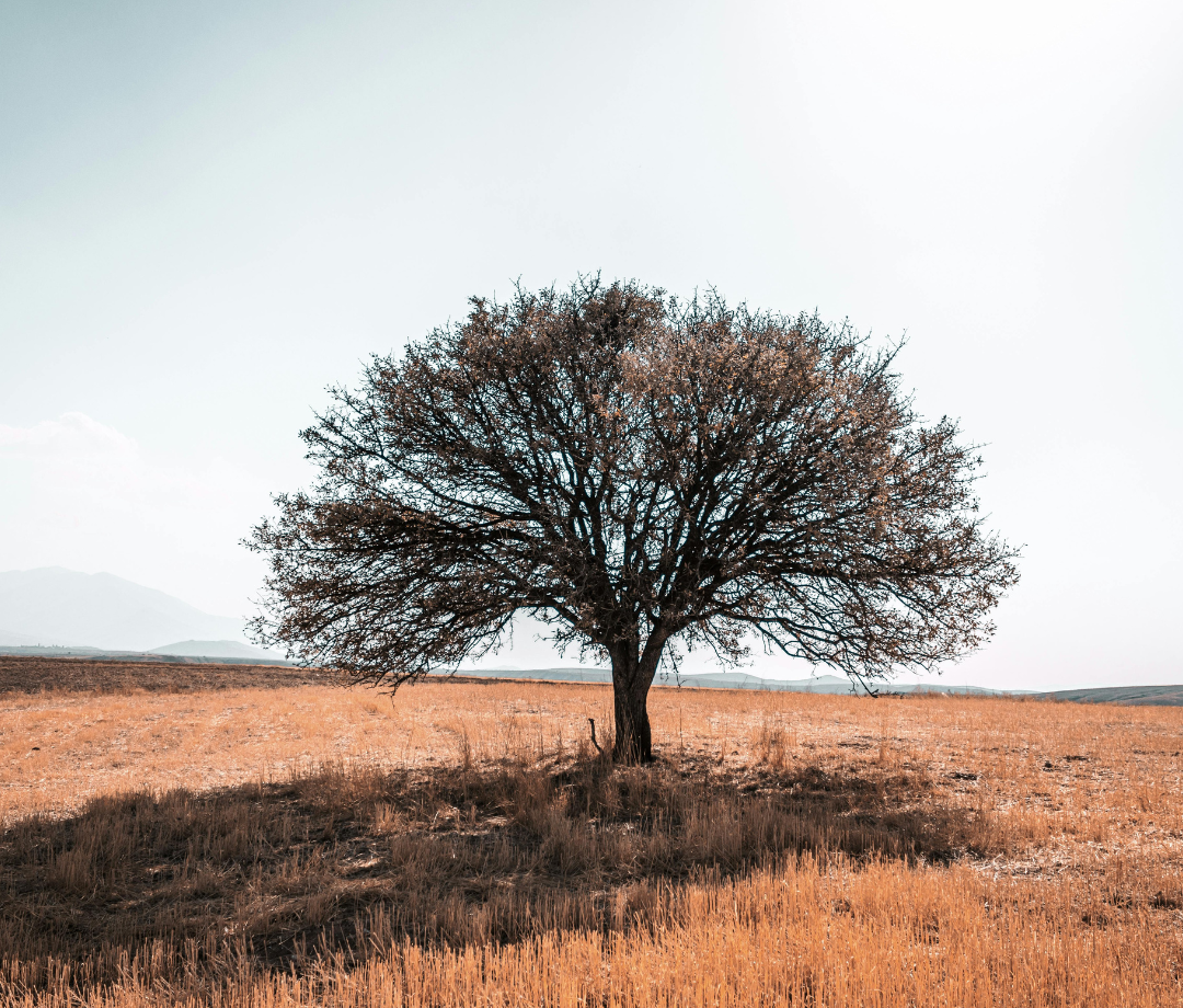 What Is A Dry Climate?