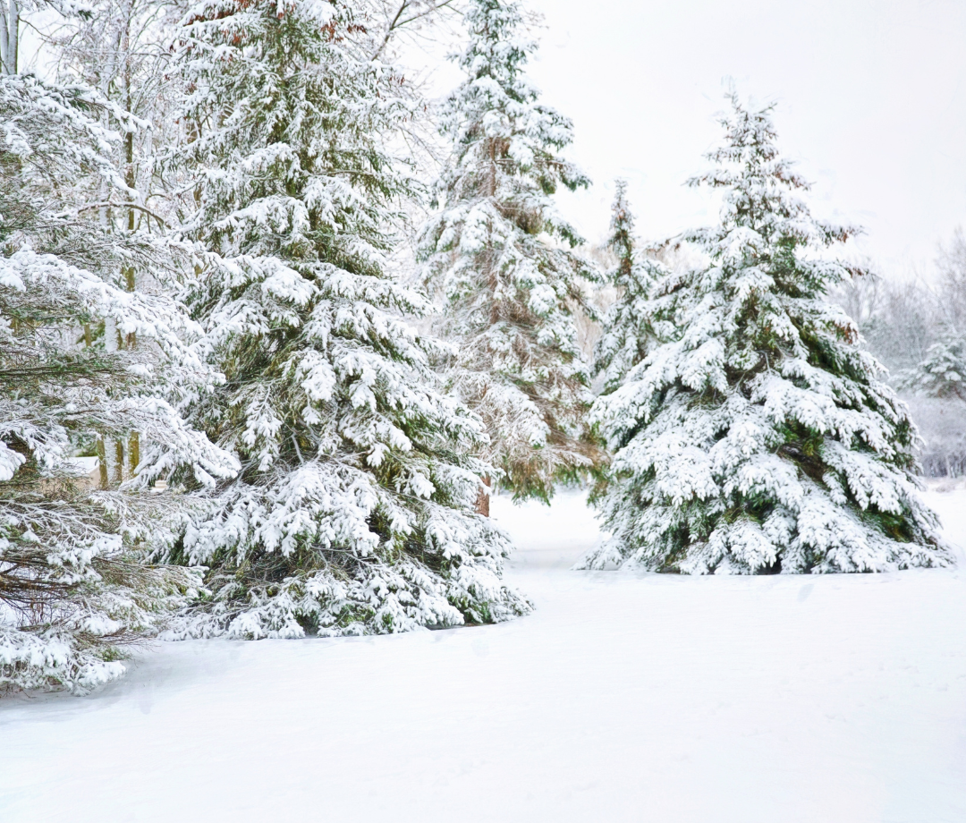 What Are The Odds Of A White Christmas In Your City