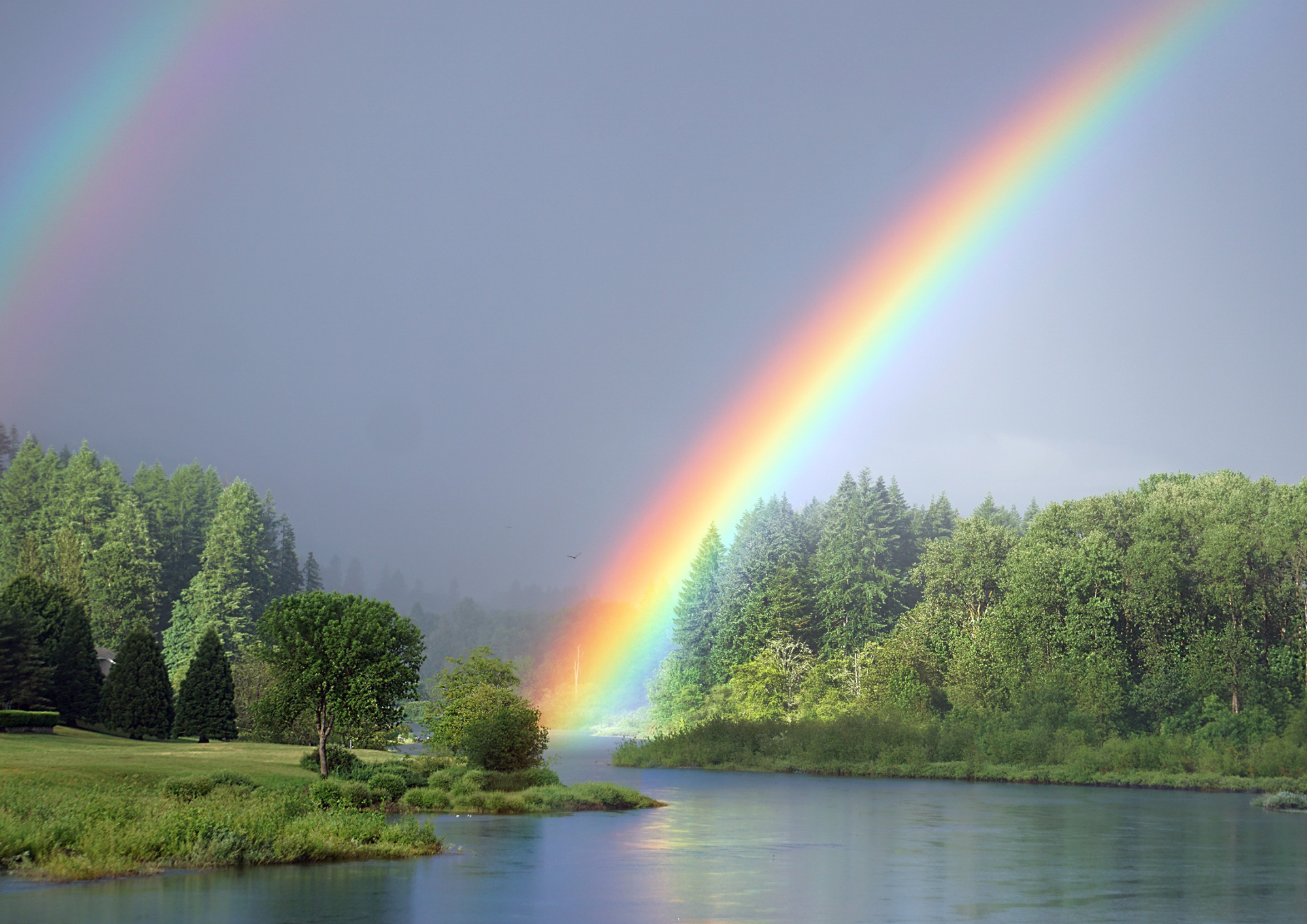 How And Why Does A Rainbow Form?
